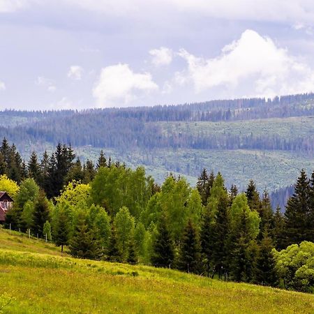 Pensiunea Romconcord Balcesti Экстерьер фото
